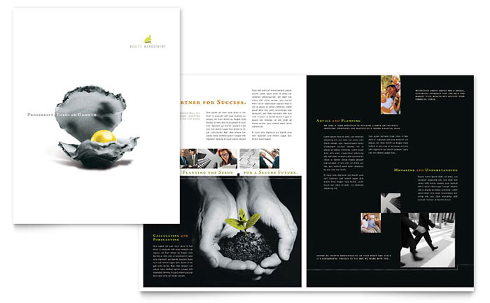 Wealth Management Brochure Design Idea - Brochure Cover