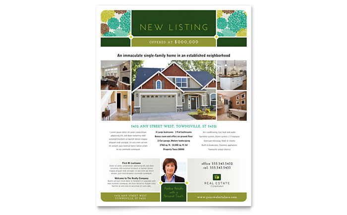 Flyer Example - New Listing